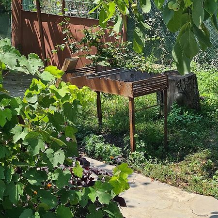 "Budur" Guest House Gandzakar Exteriér fotografie