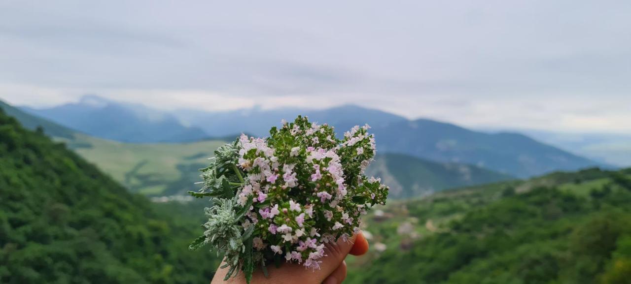 "Budur" Guest House Gandzakar Exteriér fotografie